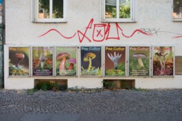 fertig design